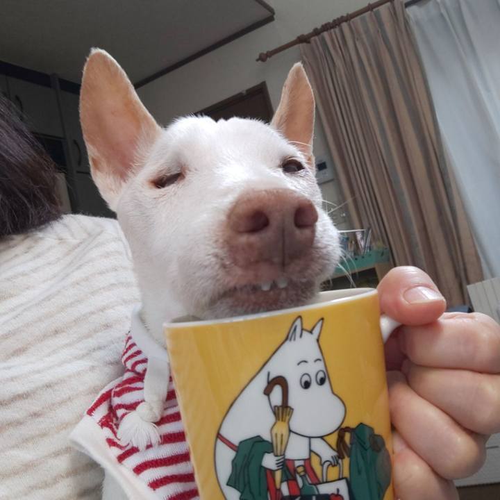 33e8b12a 9421 45ac 948c e64f6edf00b8 1605919990211