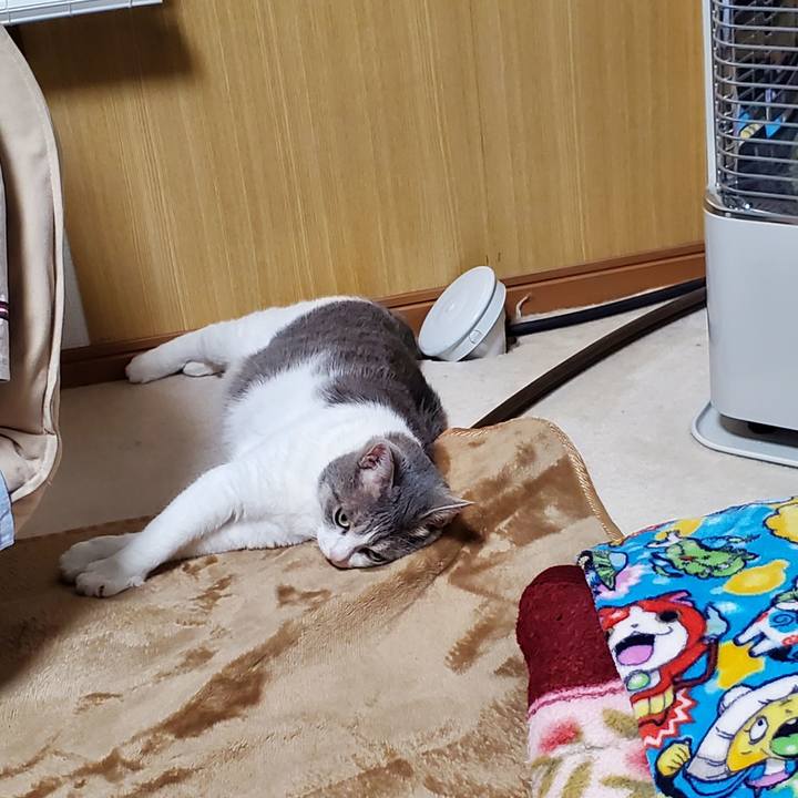 33e8d97a 748e 467b 9342 bdf17861d89d 1717556942716