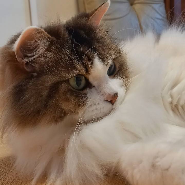 33e8e077 9176 48ff 9a74 ac279da2e135 1659140283766