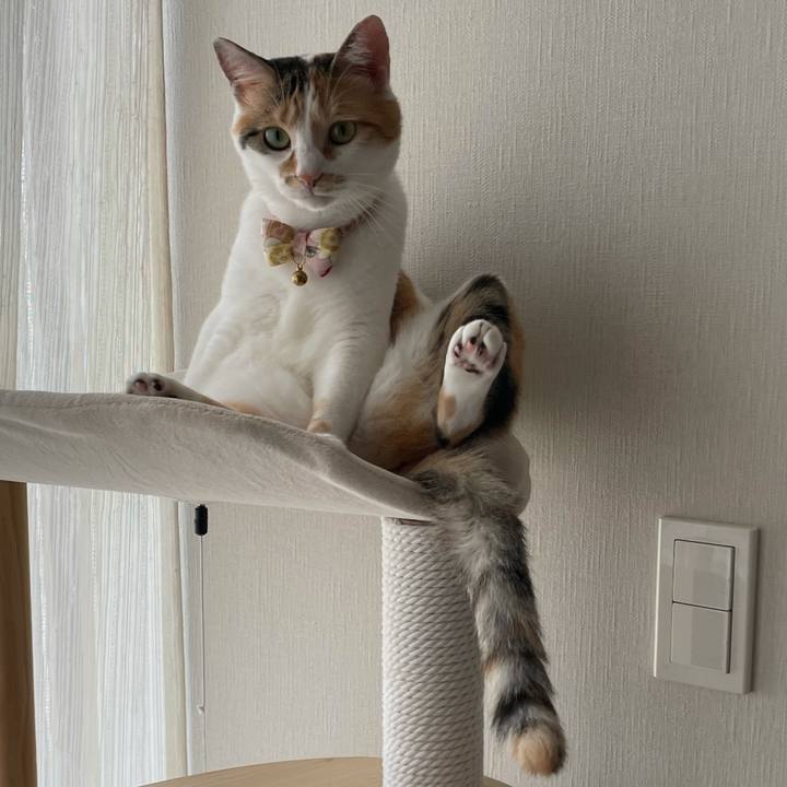 33e8e9dd 4c38 4d14 9ae2 15d7d44e4dfb 1626751496533