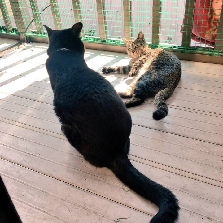 33e8f348 2c0e 4cb0 baa6 b1ef7b20ca8b 1519700454812