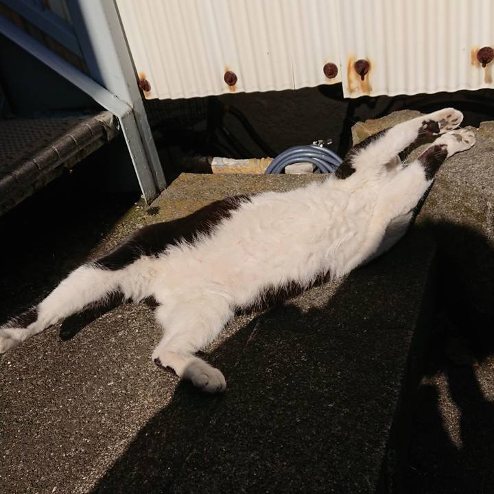 33e90445 f905 421b bb97 ae1a6cd484ed 1547349926104