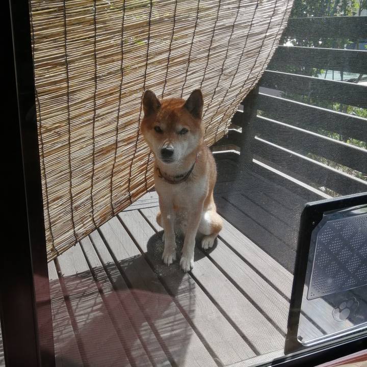 33e91c9b daa8 4193 81d0 f6189aadd279 1693375664622