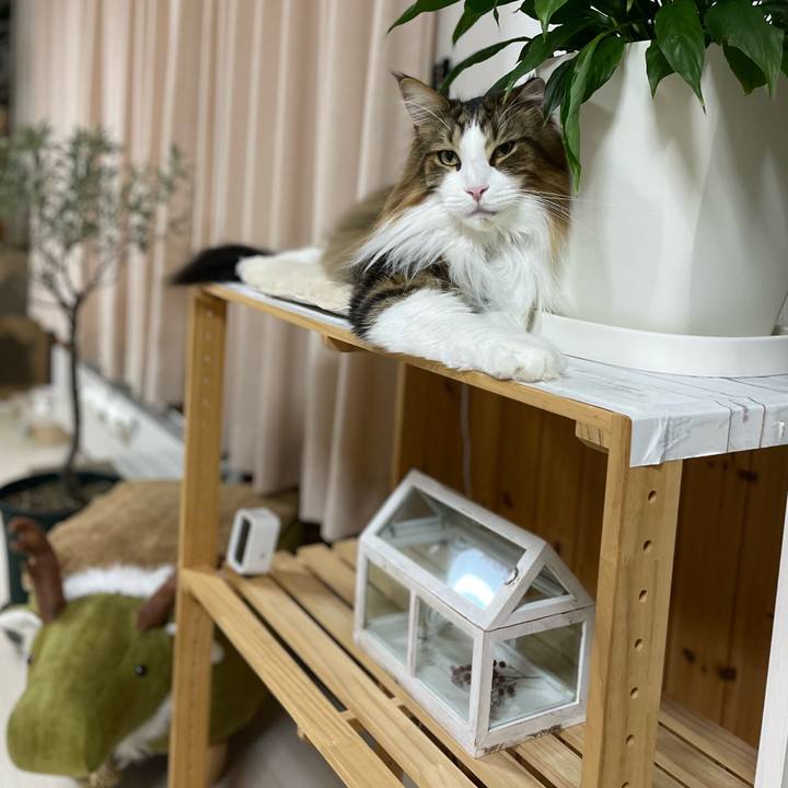 33e93cb2 f450 4cbd 991e 687232c59fe6 1708633859507