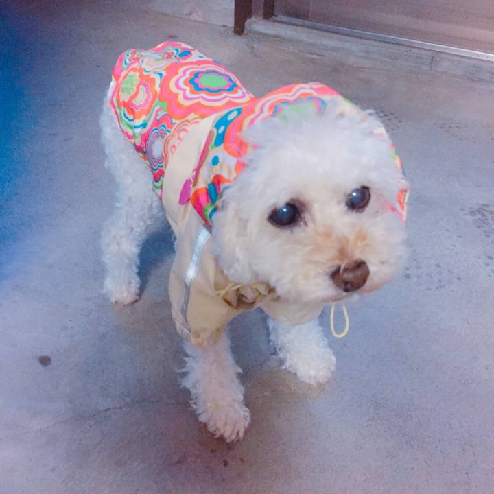 33e979f7 1d63 4388 9d25 c188a3228df7 1536816207320