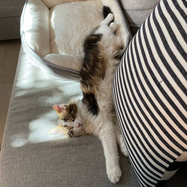 33e98d5f cdd0 4cf3 ba6a 3b5848873aae 1635061868506