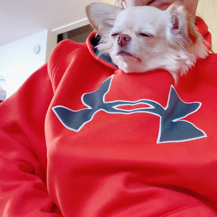 33e9b1c0 44c9 4e45 84ac 84cfcb73871a 1637291319403