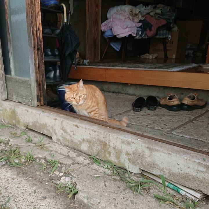 33e9cf22 6080 4319 996f d5f6a6fb422a 1656799873905