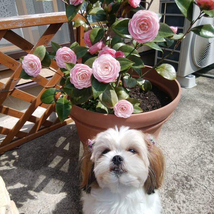 33e9de48 2571 47b2 b495 7b547b27ec9e 1522301416628