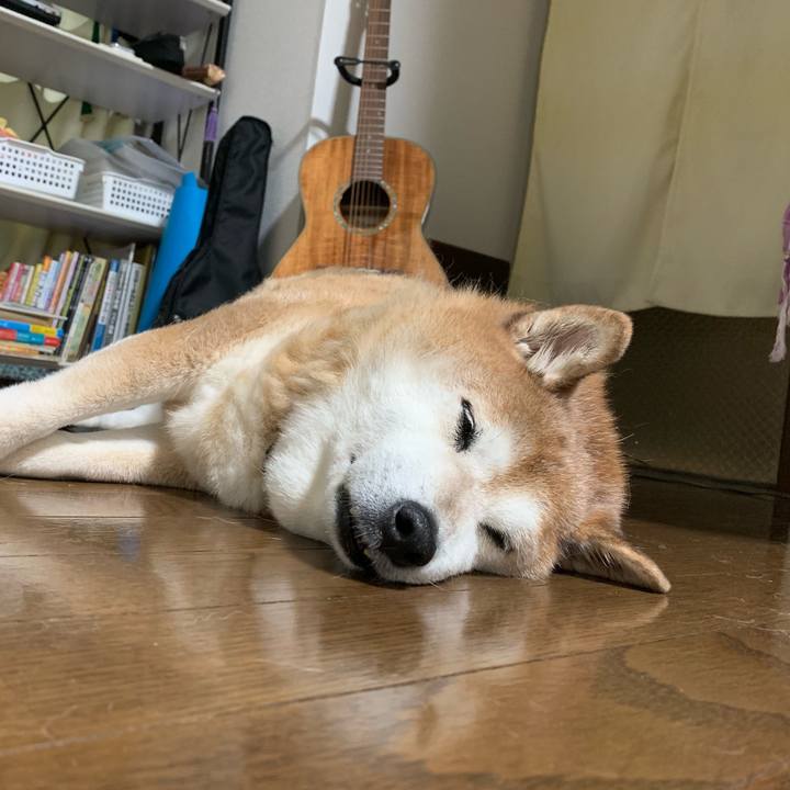 33e9e4f0 88d4 441b aa2d 55d49ee75e68 1566660539007