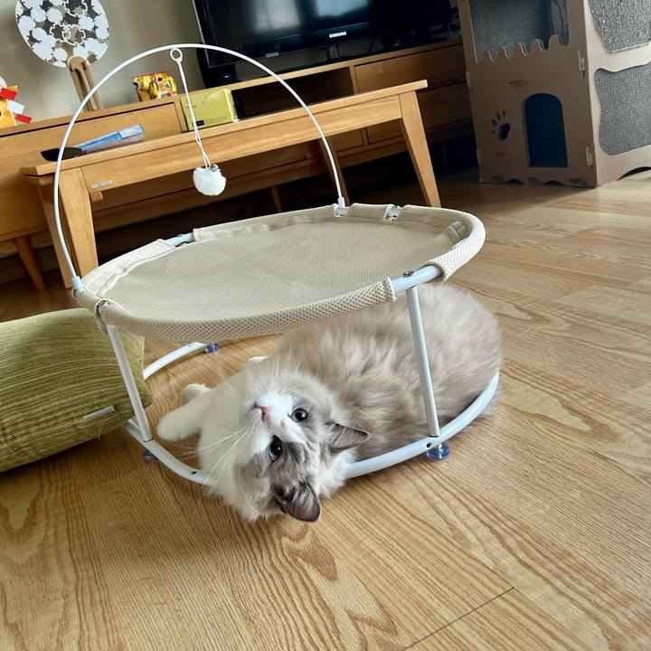 33ea251c b513 49b3 b223 0625ddedb62a 1640650429090