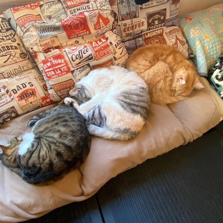 33ea2706 efe5 4230 94bc d988e308d95f 1585056117137