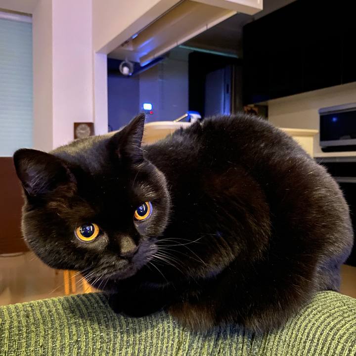 33ea4342 61fb 4e73 92de cd6554ec15b5 1702297135839