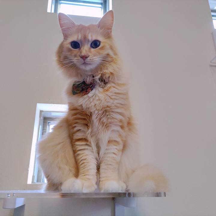 33ea59cd 5779 4dfc 89c5 744cde49531e 1661679391429