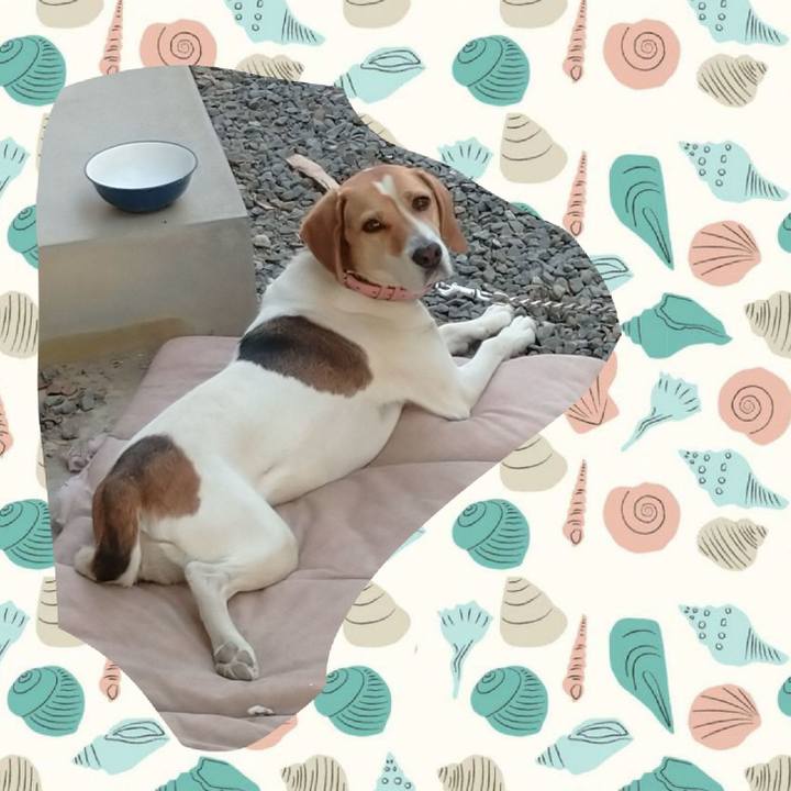 33ea64c4 20d9 4b4c 887b c2388d54a81a 1588583941167