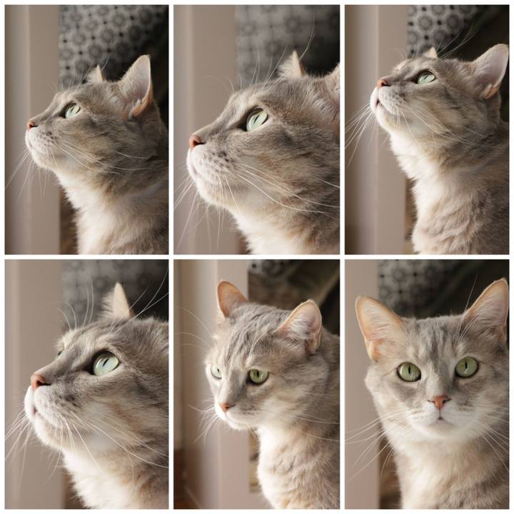 33eacccf 0dde 4f7f 99e4 cec6882bed08 1683098937932