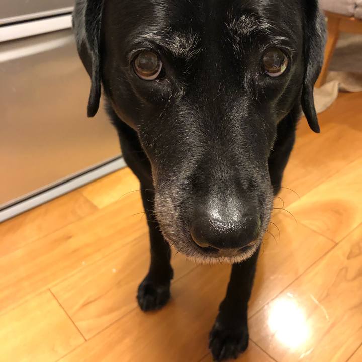 33eaf46d 070f 440b a9c0 5f9b33a706b4 1583142368990