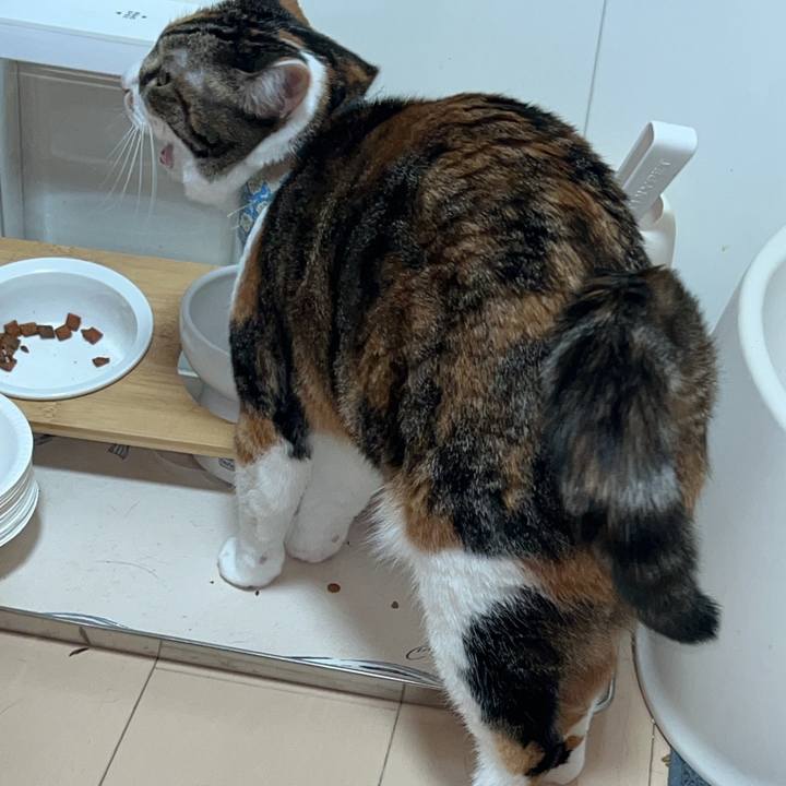 33eb36b9 81f3 4256 86f1 c21862db6431 1762374449428