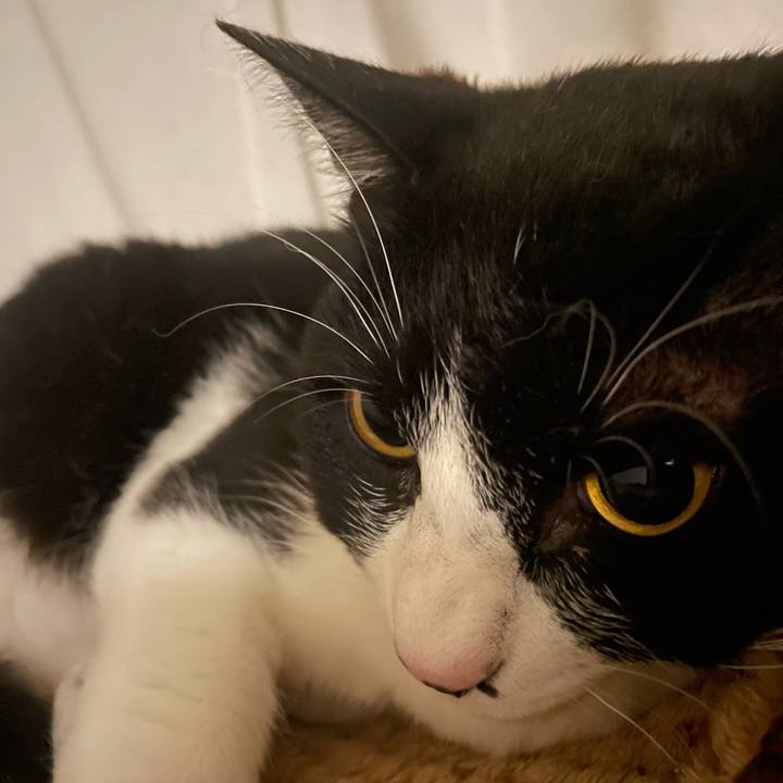 33eb9320 ba6d 4e6e 9f2b 31651a63327a 1717167935965