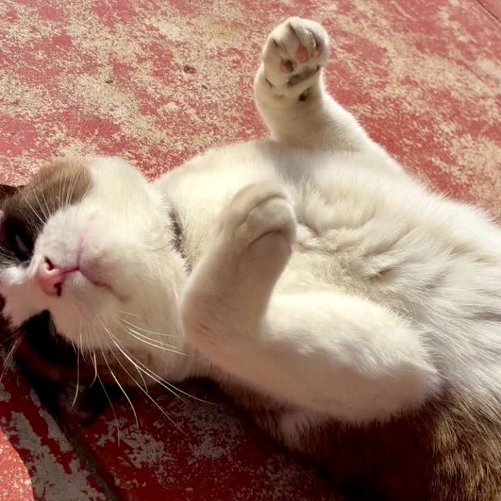 33eb938e 3c36 4031 9789 31ab4f55473e 1772376740699