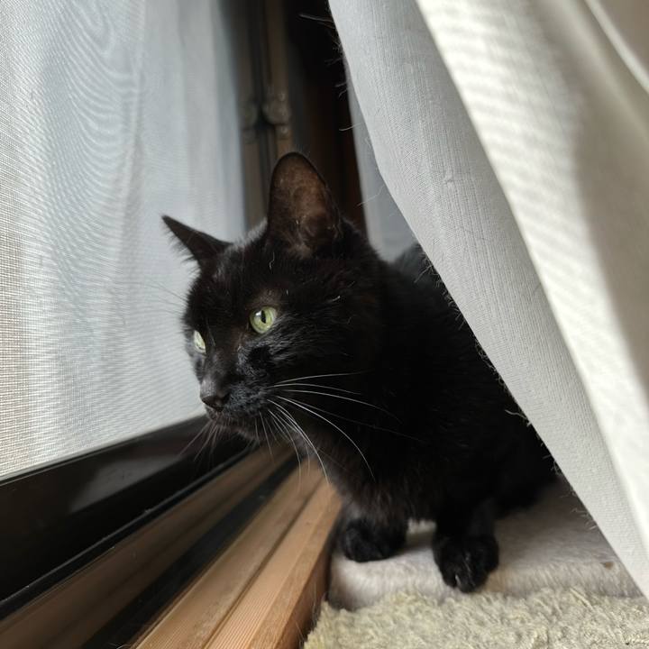 33eb9620 11b0 4bcd bb55 3b1a05f7500a 1703123504688