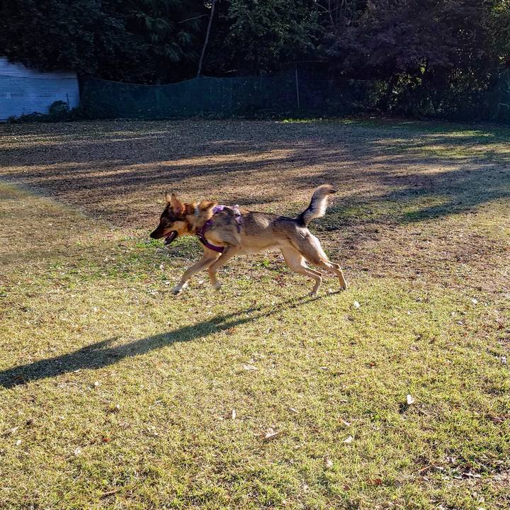 33ebed10 597d 444f 8603 226c446724c9 1732424549239