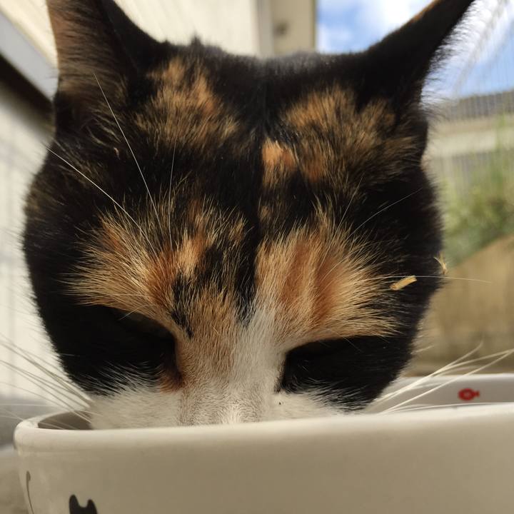 33ec17e4 96e8 48cf bb9a 1b0e03708515 1510201102940