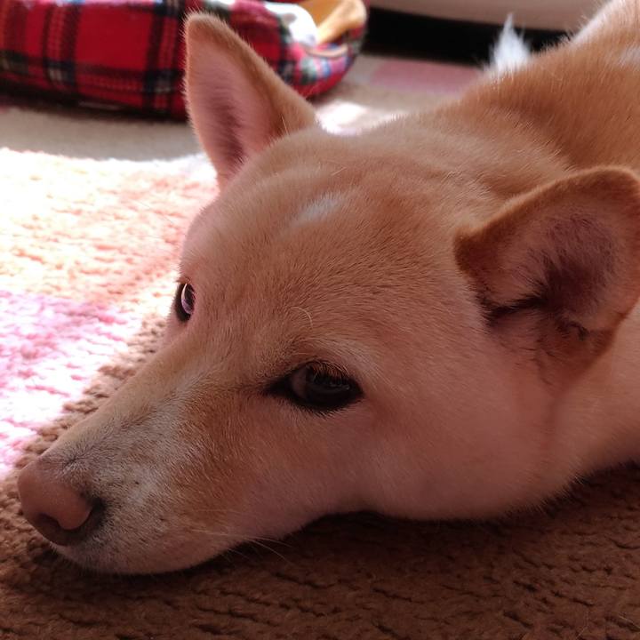 33ec1f70 7d6e 47eb a20d 948ad9454fb8 1518571478044