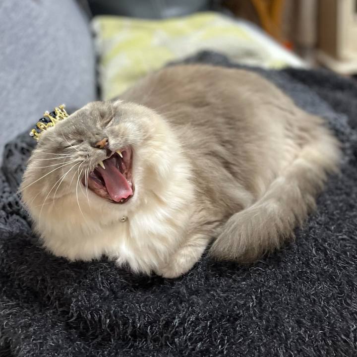 33ec38e6 e0e1 4290 a211 236479e87b35 1673861997281