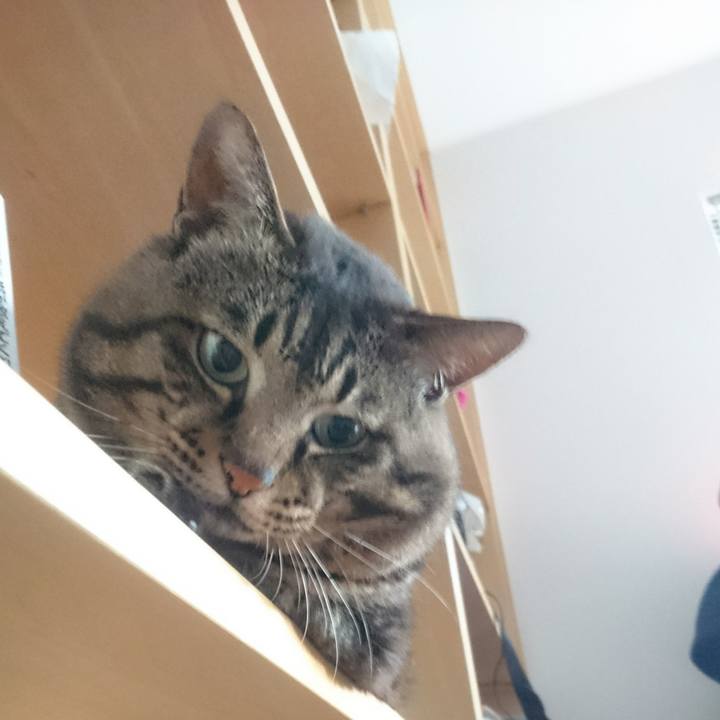 33ecd453 c733 4e65 bc48 2e00975388cc 1533073473128