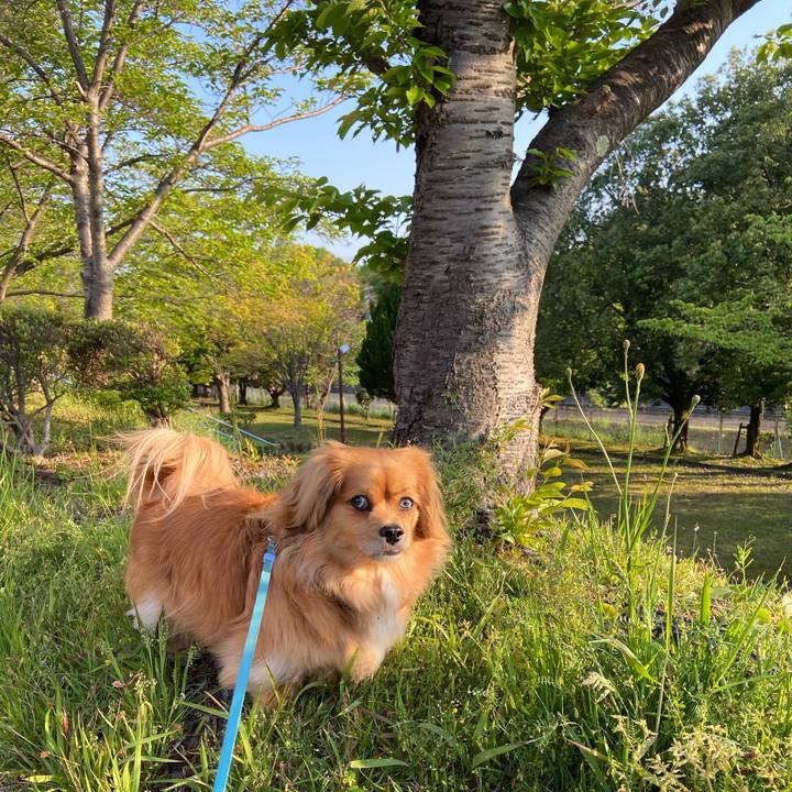 33ece2e8 7a41 41ea 92f7 40b5f68e0ccf 1588196992181