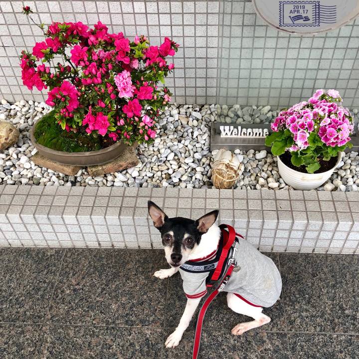 33ed3e35 0817 4ac8 8589 2ed4bfe06d9d 1555453902078