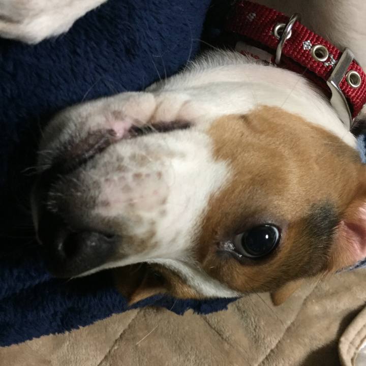 33ed52f4 7eae 4e6d 87c0 a86024390098 1514722183722