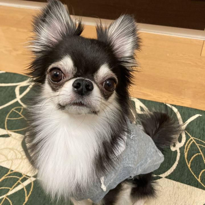 33ed6286 a7a7 49fa ad59 dfd2ff1af40e 1645278746794