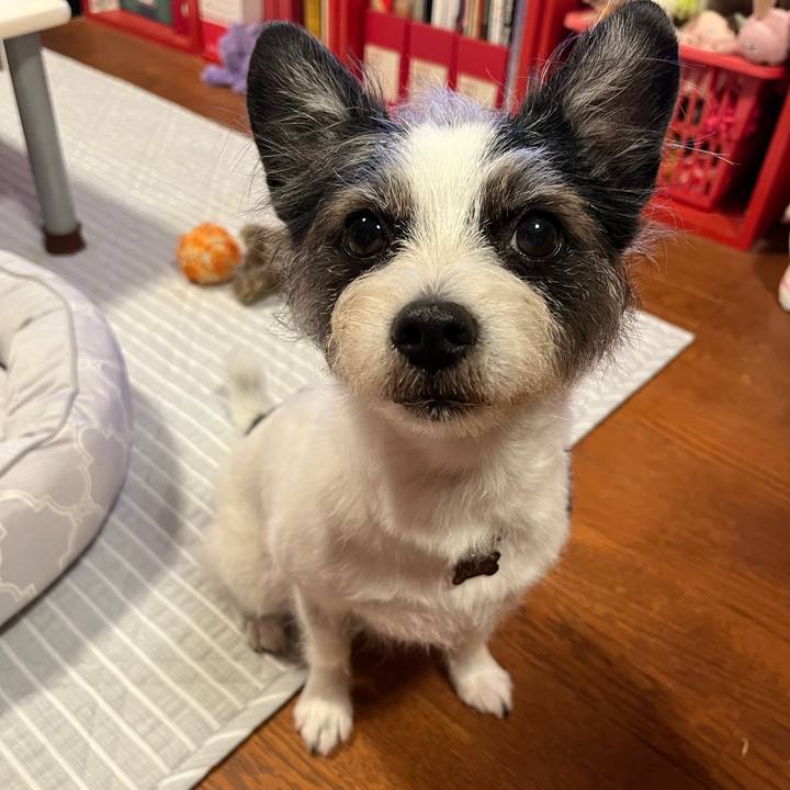 33ed8c7d 02dd 4a54 a573 e31739a12070 1717320946978