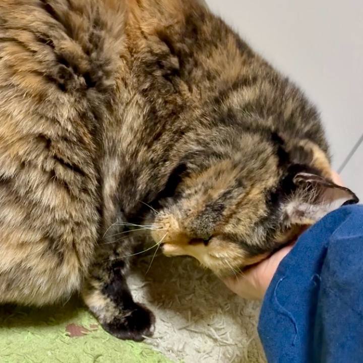 33ed9426 dfba 4e41 b0da b5e8383d657d 1768448805539