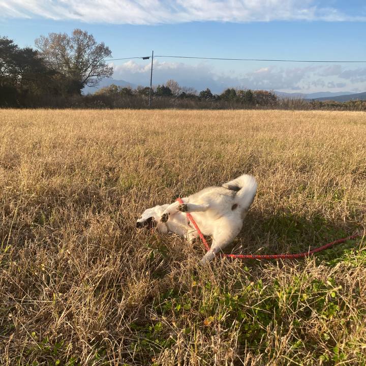 33eda8b8 0a66 4457 9cd5 7629f31fa998 1733571049200