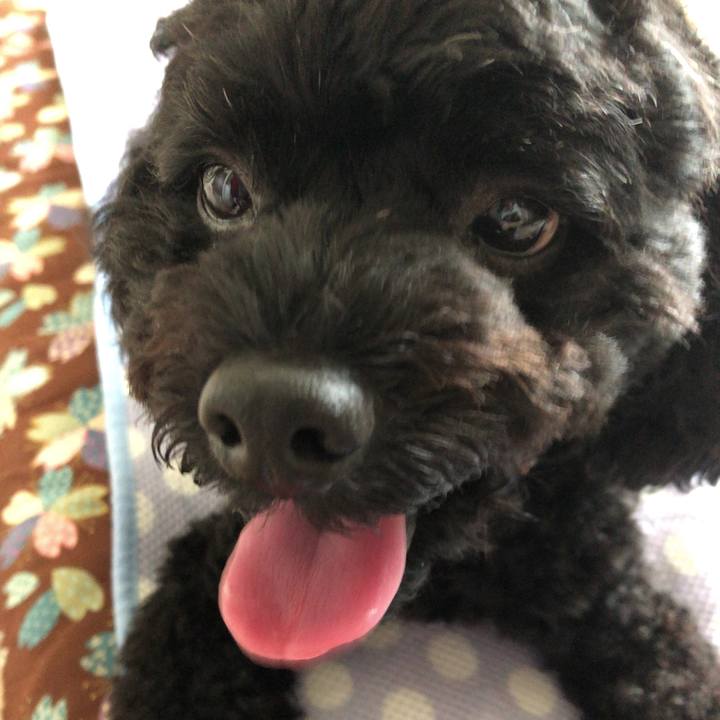 33ee2310 88f7 432e a441 39016d2fbfce 1537585102177