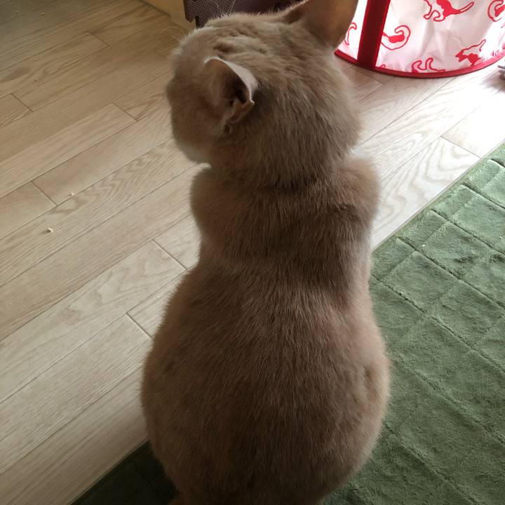 33ee4104 58fa 4180 a1af ca2065871964 1583985391028