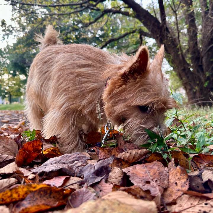 33ee5473 6db9 4a51 83b3 d89e76aee5b8 1727879440410