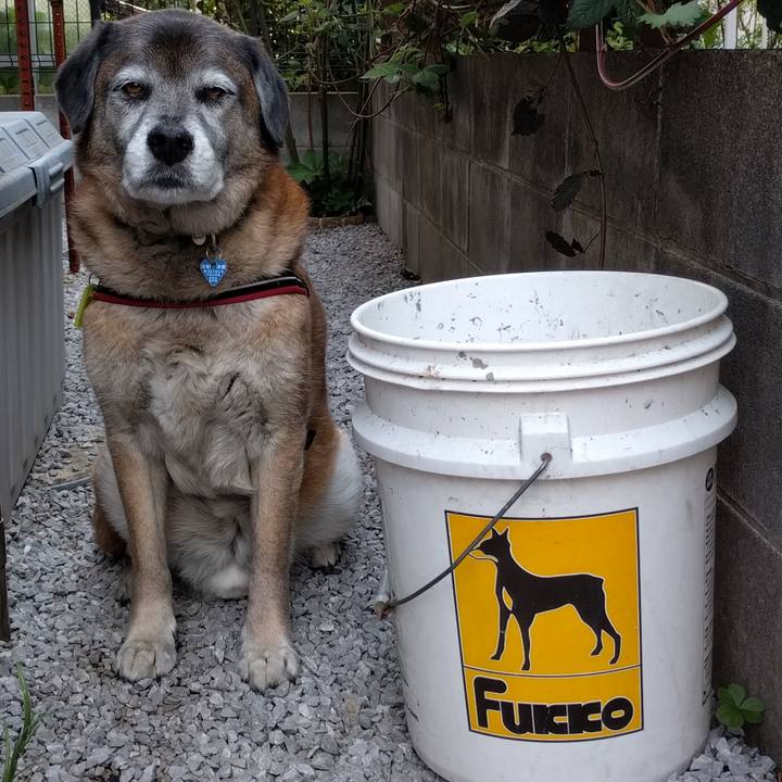 33ee56bd e583 4794 86cf ebe19050dfc0 1555633063667