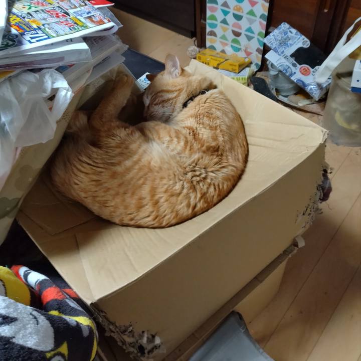 33eea3e6 c279 4224 af1f a6018ae86d11 1679353581425