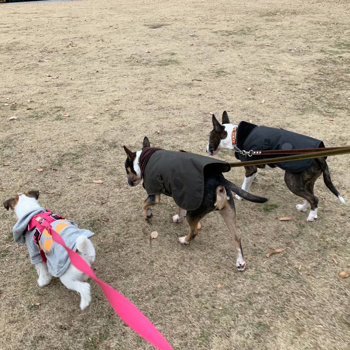 33eef12f 7270 47a1 a8e8 a8a36acd4842 1576924771005