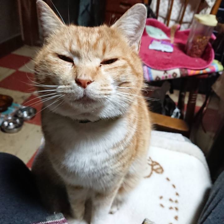 33ef335a ba4a 45f8 a315 68d7fafddc27 1581278269333