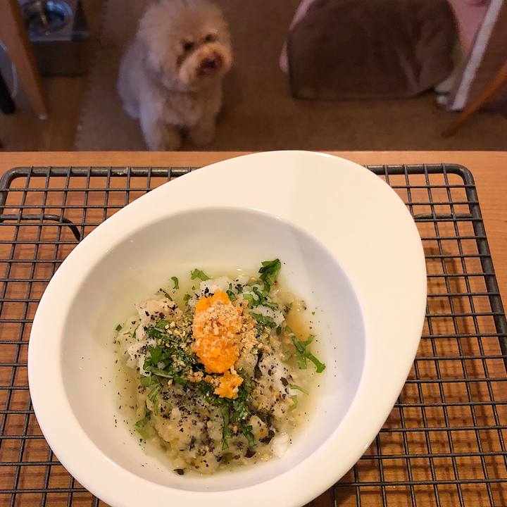 33ef4f58 6de5 4ffa 9e62 4acdb2215a77 1535530969116