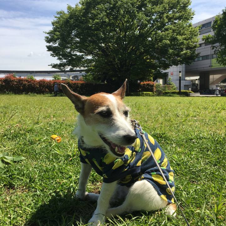 33ef5b47 f62b 4067 9b83 ca0448e48ff4 1620004116284