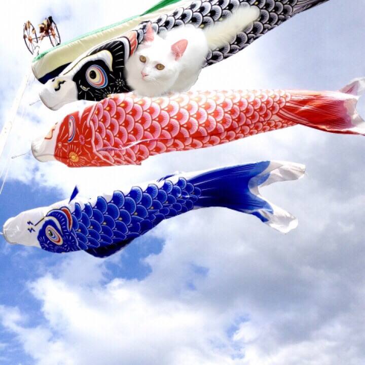 33f0060e 32f2 47ca 9517 157ce7cd5ae1 1525519803592