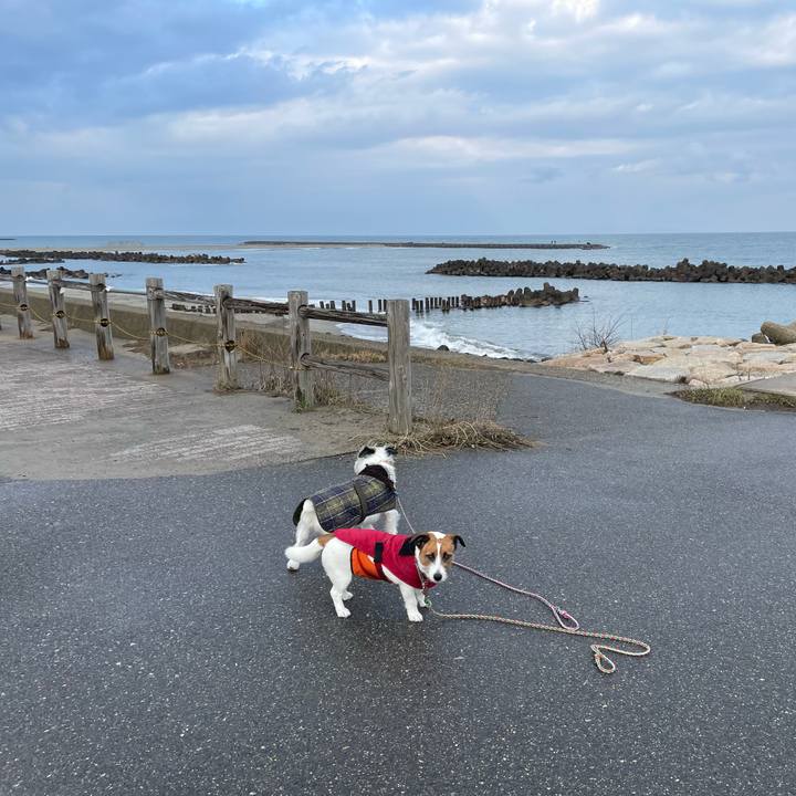 33f01633 fc03 424e 9361 f4b5fbccdb44 1677891382845