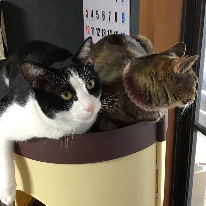 33f01c32 ccd5 4f84 bc3c 09e1ca70d5a3 1657533215684