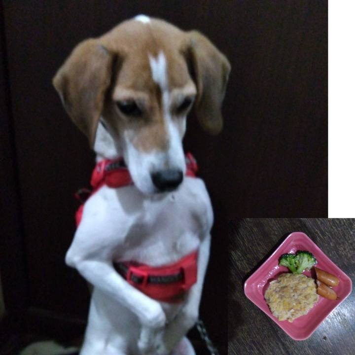 33f044bc 7ebf 449f b01b c3836db222c5 1701427904779